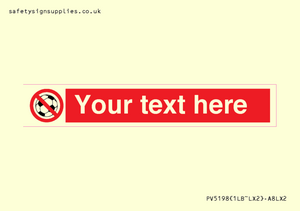 Custom No Ball Games Sign